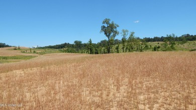 Grenada Lake Area 4.026 Ac. Located 1 mile from The Dogwoods on The Dogwoods Golf Course At Hugh White State Park in Mississippi - for sale on GolfHomes.com, golf home, golf lot