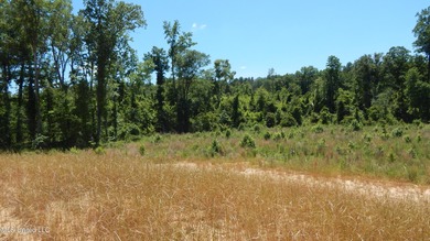 Grenada Lake Area 4.026 Ac. Located 1 mile from The Dogwoods on The Dogwoods Golf Course At Hugh White State Park in Mississippi - for sale on GolfHomes.com, golf home, golf lot