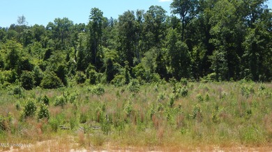 Grenada Lake Area 4.026 Ac. Located 1 mile from The Dogwoods on The Dogwoods Golf Course At Hugh White State Park in Mississippi - for sale on GolfHomes.com, golf home, golf lot