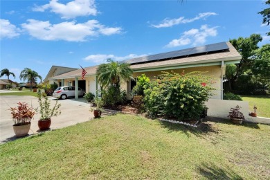 Experience the perfect blend of comfort, convenience, and energy on Sandpiper Golf Club in Florida - for sale on GolfHomes.com, golf home, golf lot