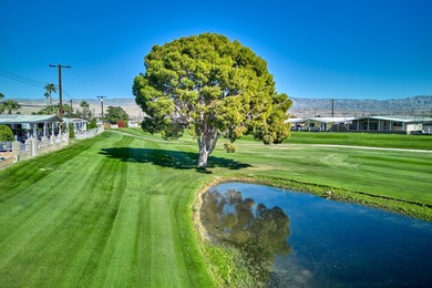 Affordable Golf-Course Home in Tri Palm Estates & Country Club! on The Club At Shenandoah Springs in California - for sale on GolfHomes.com, golf home, golf lot