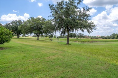 **HUGE PRICE REDUCTION***Exquisite Golf Course Living at 13049 on Lake Jovita Golf and Country Club in Florida - for sale on GolfHomes.com, golf home, golf lot