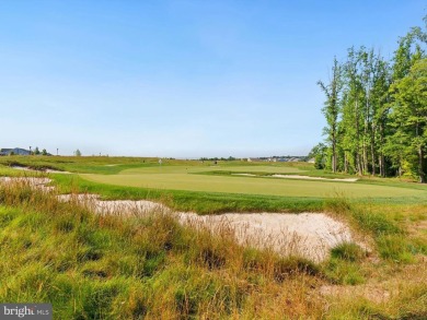 This impeccably maintained 2023 single-level home in the on Plantation Lakes Golf and Country Club in Delaware - for sale on GolfHomes.com, golf home, golf lot