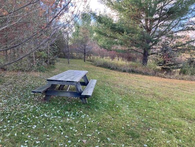 Outstanding camping or building opportunity on two non-conjoined on Lakeside Golf Course in Michigan - for sale on GolfHomes.com, golf home, golf lot