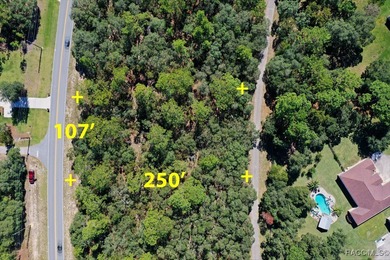 Located in the picturesque Pine Ridge equestrian community, lot on Pine Ridge Community Golf and Country Club in Florida - for sale on GolfHomes.com, golf home, golf lot