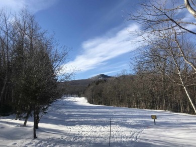 One of a handful of single lots remaining on the Hill! Septic on Hermitage Club Golf Course in Vermont - for sale on GolfHomes.com, golf home, golf lot