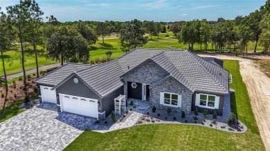 Brand New Construction home available in an award-winning golf on Juliette Falls Golf and Spa Club in Florida - for sale on GolfHomes.com, golf home, golf lot