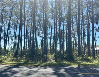 Discover your slice of paradise with this spacious 1.2-acre on St. James Bay in Florida - for sale on GolfHomes.com, golf home, golf lot