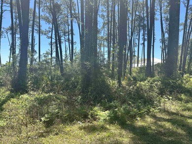 Discover your slice of paradise with this spacious 1.2-acre on St. James Bay in Florida - for sale on GolfHomes.com, golf home, golf lot