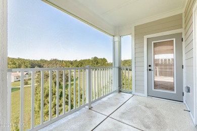 New Construction. Welcome to The Alexander, where luxury meets on Crow Creek Golf Club in North Carolina - for sale on GolfHomes.com, golf home, golf lot