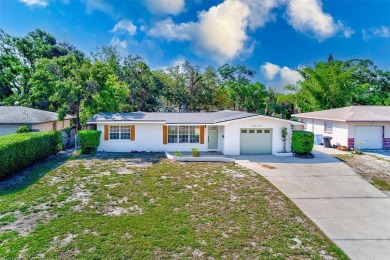 Beautifully Updated Home in Prime St. Petersburg Location!

 on St. Petersburg Country Club in Florida - for sale on GolfHomes.com, golf home, golf lot
