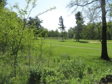 The Estates of Lawsonia, Where Beautiful Green Lake Meets the on The Golf Courses of Lawsonia in Wisconsin - for sale on GolfHomes.com, golf home, golf lot