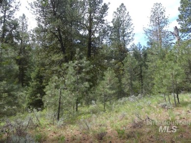 Looking for the perfect lot to build your dream cabin? This on Cascade Golf Course in Idaho - for sale on GolfHomes.com, golf home, golf lot