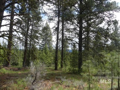 Looking for the perfect lot to build your dream cabin? This on Cascade Golf Course in Idaho - for sale on GolfHomes.com, golf home, golf lot