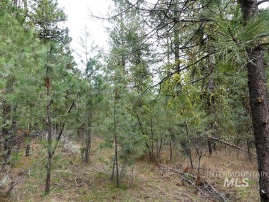 Looking for the perfect lot to build your dream cabin? This on Cascade Golf Course in Idaho - for sale on GolfHomes.com, golf home, golf lot