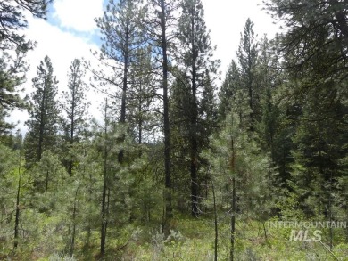 Looking for the perfect lot to build your dream cabin? This on Cascade Golf Course in Idaho - for sale on GolfHomes.com, golf home, golf lot