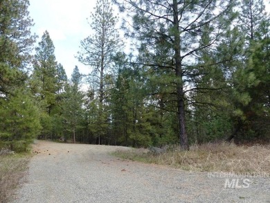 Looking for the perfect lot to build your dream cabin? This on Cascade Golf Course in Idaho - for sale on GolfHomes.com, golf home, golf lot