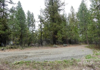 Looking for the perfect lot to build your dream cabin? This on Cascade Golf Course in Idaho - for sale on GolfHomes.com, golf home, golf lot