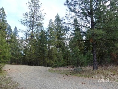 Looking for the perfect lot to build your dream cabin? This on Cascade Golf Course in Idaho - for sale on GolfHomes.com, golf home, golf lot