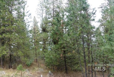 Looking for the perfect lot to build your dream cabin? This on Cascade Golf Course in Idaho - for sale on GolfHomes.com, golf home, golf lot