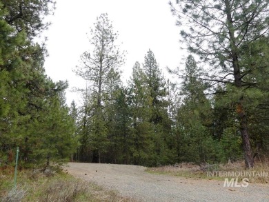 Looking for the perfect lot to build your dream cabin? This on Cascade Golf Course in Idaho - for sale on GolfHomes.com, golf home, golf lot