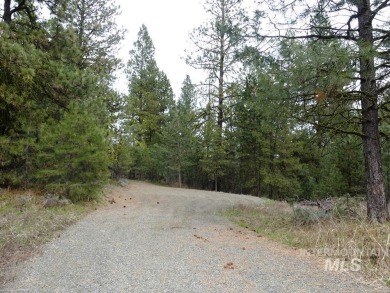 Looking for the perfect lot to build your dream cabin? This on Cascade Golf Course in Idaho - for sale on GolfHomes.com, golf home, golf lot