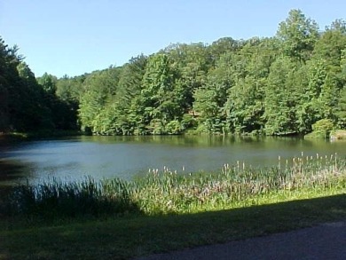 Just steps to the fishing pond and stunning Piedmont viewse see on Skyland Lakes Golf Course in Virginia - for sale on GolfHomes.com, golf home, golf lot