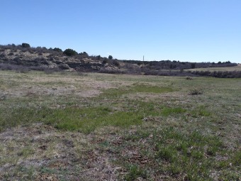 Stand on this land parcel and take in the mountain views. You on Hollydot Golf Course in Colorado - for sale on GolfHomes.com, golf home, golf lot