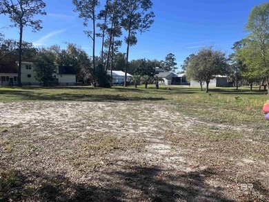 Beautiful high & dry lot with deeded lagoon access. Barely over on The Golf Club of the Wharf in Alabama - for sale on GolfHomes.com, golf home, golf lot