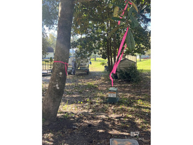 Beautiful high & dry lot with deeded lagoon access. Barely over on The Golf Club of the Wharf in Alabama - for sale on GolfHomes.com, golf home, golf lot