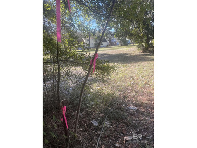 Beautiful high & dry lot with deeded lagoon access. Barely over on The Golf Club of the Wharf in Alabama - for sale on GolfHomes.com, golf home, golf lot