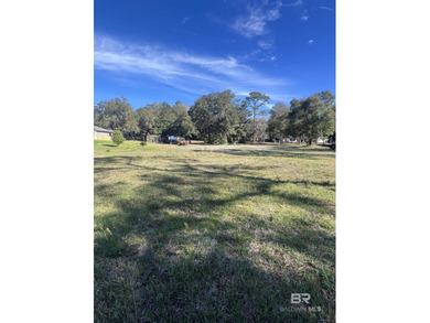 Beautiful high & dry lot with deeded lagoon access. Barely over on The Golf Club of the Wharf in Alabama - for sale on GolfHomes.com, golf home, golf lot