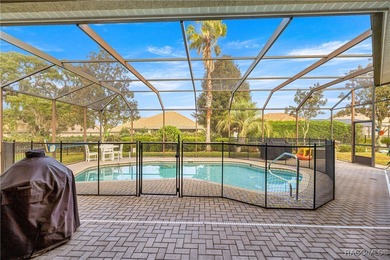 Dreaming of a beautiful, energy-efficient Courtyard Pool Home? on Skyview At Terra Vista Golf and Country Club in Florida - for sale on GolfHomes.com, golf home, golf lot