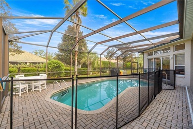 Dreaming of a beautiful, energy-efficient Courtyard Pool Home? on Skyview At Terra Vista Golf and Country Club in Florida - for sale on GolfHomes.com, golf home, golf lot