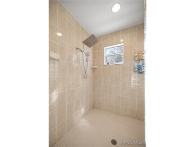 Dreaming of a beautiful, energy-efficient Courtyard Pool Home? on Skyview At Terra Vista Golf and Country Club in Florida - for sale on GolfHomes.com, golf home, golf lot