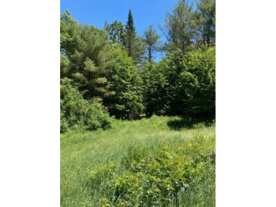 Great spot to build your home.  5.81 acres that is level and on Norway Country Club in Maine - for sale on GolfHomes.com, golf home, golf lot