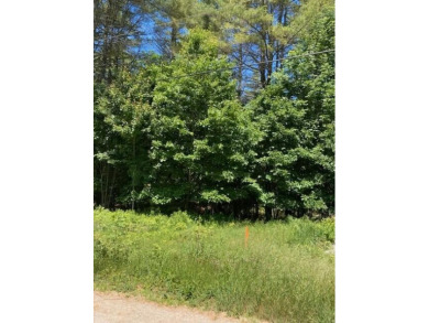 Great spot to build your home.  5.81 acres that is level and on Norway Country Club in Maine - for sale on GolfHomes.com, golf home, golf lot