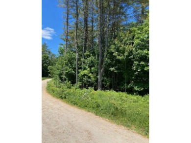 Great spot to build your home.  5.81 acres that is level and on Norway Country Club in Maine - for sale on GolfHomes.com, golf home, golf lot