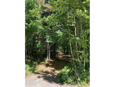 Great spot to build your home.  5.81 acres that is level and on Norway Country Club in Maine - for sale on GolfHomes.com, golf home, golf lot