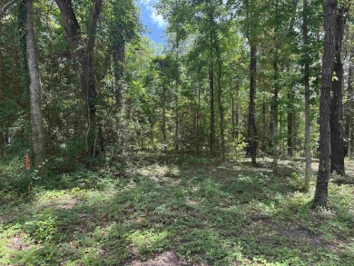 Build your dream home on this beautiful lot in the heart of on Rayburn Country Club in Texas - for sale on GolfHomes.com, golf home, golf lot