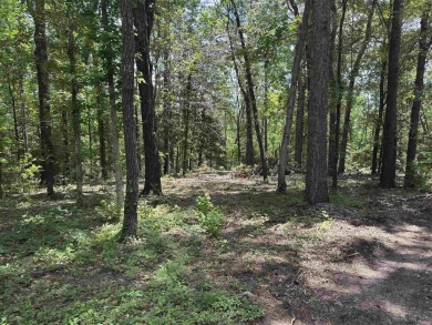 Build your dream home on this beautiful lot in the heart of on Rayburn Country Club in Texas - for sale on GolfHomes.com, golf home, golf lot