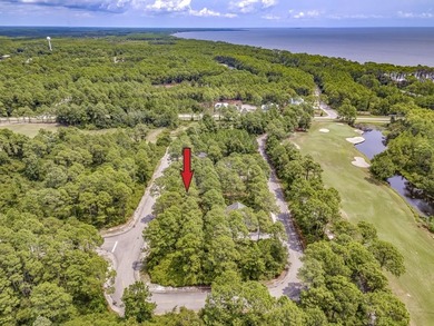 Terrific location in St James Bay Golf and Pickleball Resort on St. James Bay in Florida - for sale on GolfHomes.com, golf home, golf lot