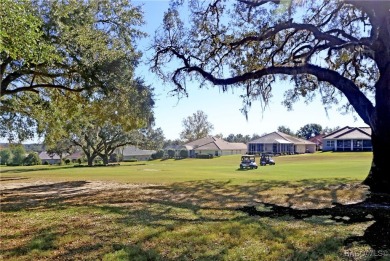 ENJOY THE REMARKABLE TERRA VISTA LIFESTYLE LOADED WITH THE MOST on Skyview At Terra Vista Golf and Country Club in Florida - for sale on GolfHomes.com, golf home, golf lot