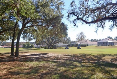 ENJOY THE REMARKABLE TERRA VISTA LIFESTYLE LOADED WITH THE MOST on Skyview At Terra Vista Golf and Country Club in Florida - for sale on GolfHomes.com, golf home, golf lot