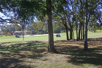 ENJOY THE REMARKABLE TERRA VISTA LIFESTYLE LOADED WITH THE MOST on Skyview At Terra Vista Golf and Country Club in Florida - for sale on GolfHomes.com, golf home, golf lot