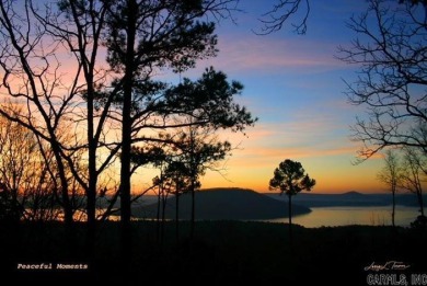 Step into the tranquility of your lake view retreat, where you on Mountain Ranch Golf Club in Arkansas - for sale on GolfHomes.com, golf home, golf lot