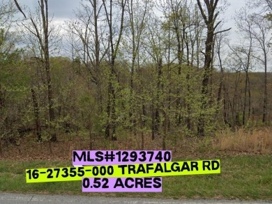 Put into your GPS *36.47166, -94.20580* to find the lot on Bella Vista - Metfield Golf Complex and Country Club in Arkansas - for sale on GolfHomes.com, golf home, golf lot