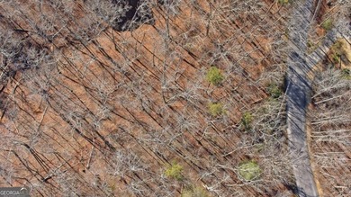 Seasonal lake views and just steps from the water! This 0 on The Highlands Course at Lake Arrowhead in Georgia - for sale on GolfHomes.com, golf home, golf lot