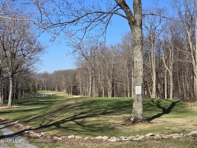 Beautiful 1st-floor fully-furnished studio with updated kitchen on Blue Knob Rec Area Golf Course in Pennsylvania - for sale on GolfHomes.com, golf home, golf lot