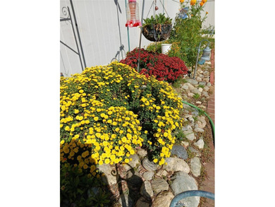 LOCATION... LOCATION... LOCATION... THE PRICE IS AFFORDABLE on Sun Lakes Country Club in California - for sale on GolfHomes.com, golf home, golf lot